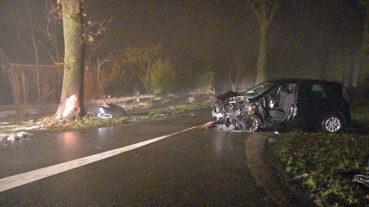 Twee gewonden bij aanrijding tegen boom in Staphorst