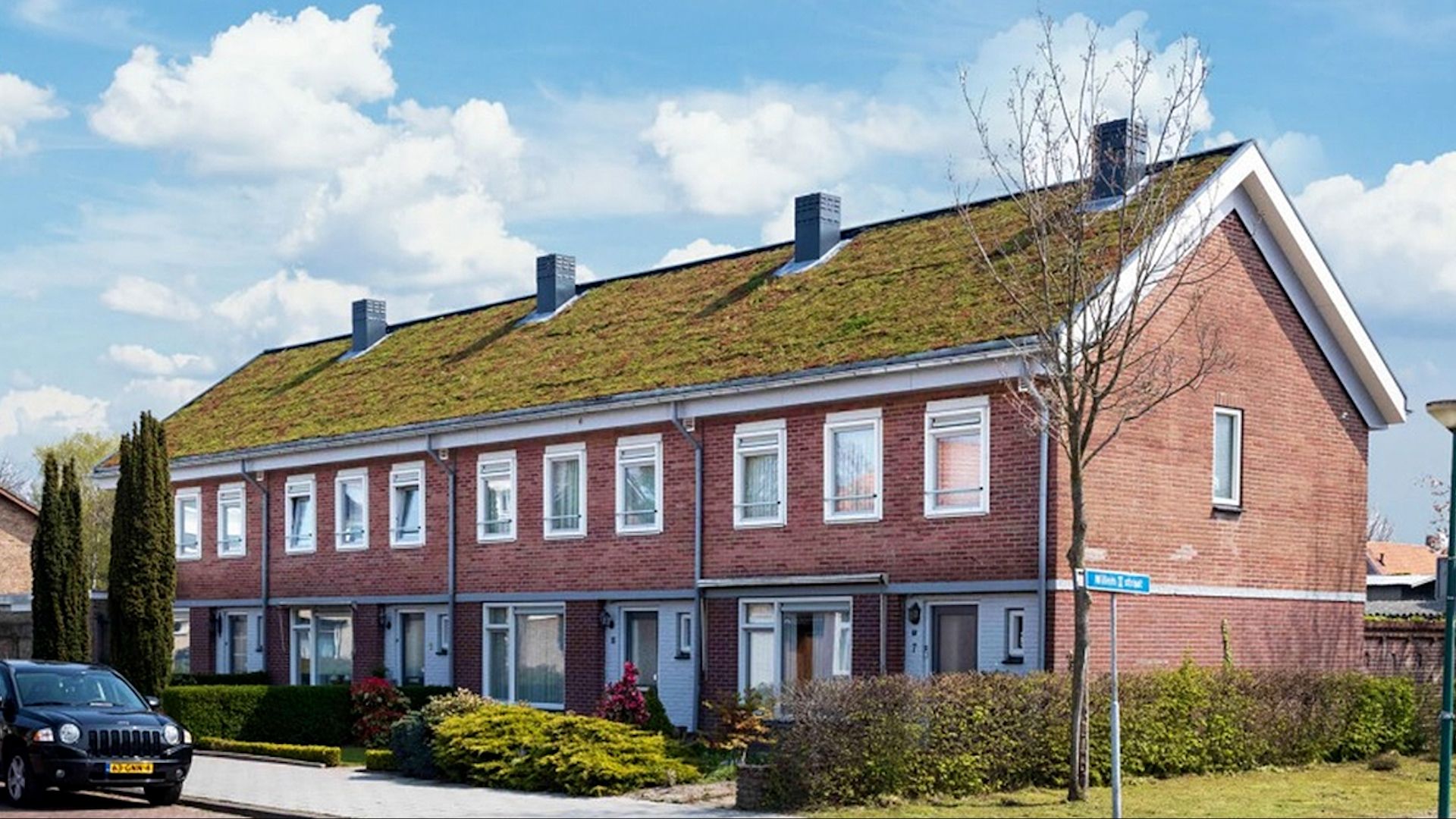 Groene daken op woningen van wooncorporatie Casade in Kaatsheuvel