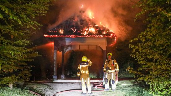 Bosprieel met rieten dak in brand