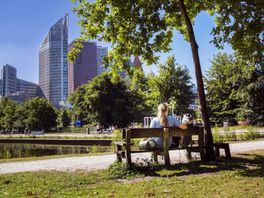 Straat Consulaat teleurgesteld in coalitieakkoord: 'Dakloosheid wordt zo niet opgelost'