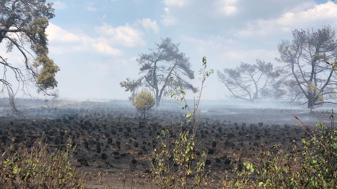 Een grote brand heeft in Nationaal Park De Hoge Veluwe bij Otterlo zo'n 4 hectare heide verwoest. Meerdere brandweerwagens bestreden het vuur, dat inmiddels onder controle is. Boeren helpen mee bij het nablussen. Lees hieronder ons liveblog terug.