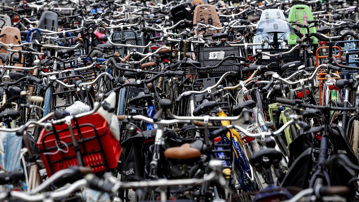 Bewaakte fietsenstalling bij strand blijft toch