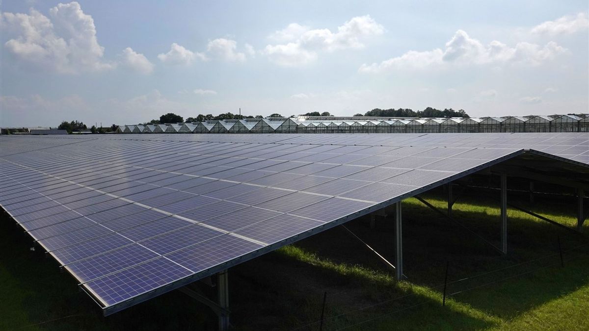 Zonnepanelen op landbouwgrond in De Lutte moeten weer weg