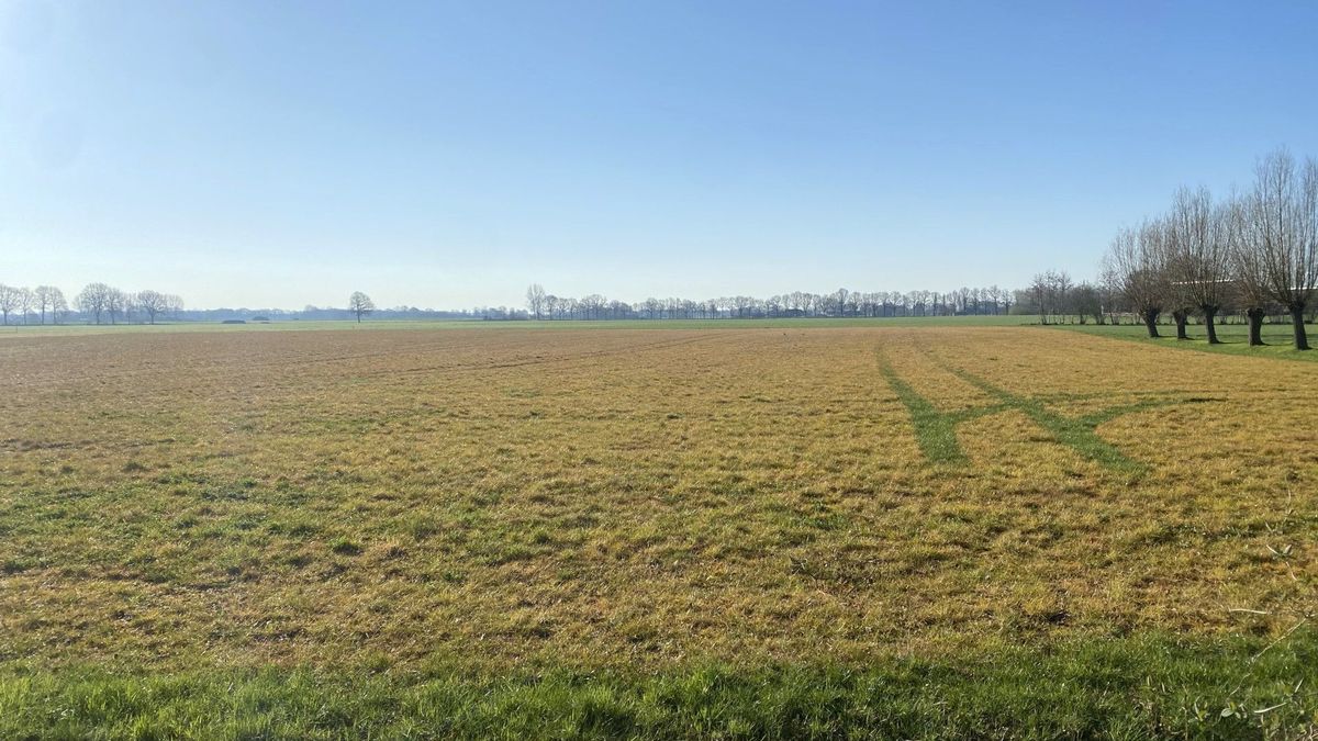 ‘Cocktail van pesticiden’ aangetroffen in lucht rond Lochem