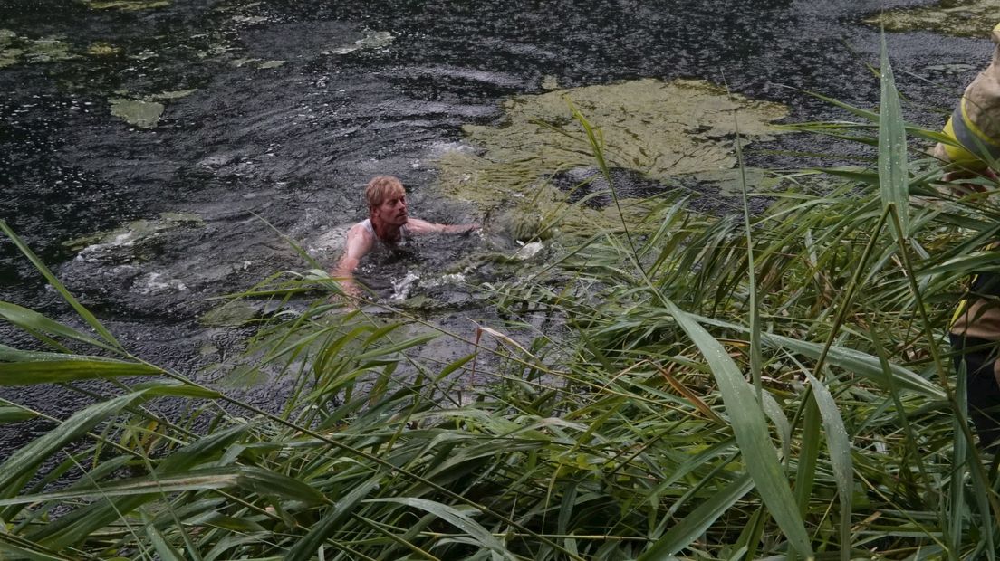 Zoektocht naar de ree