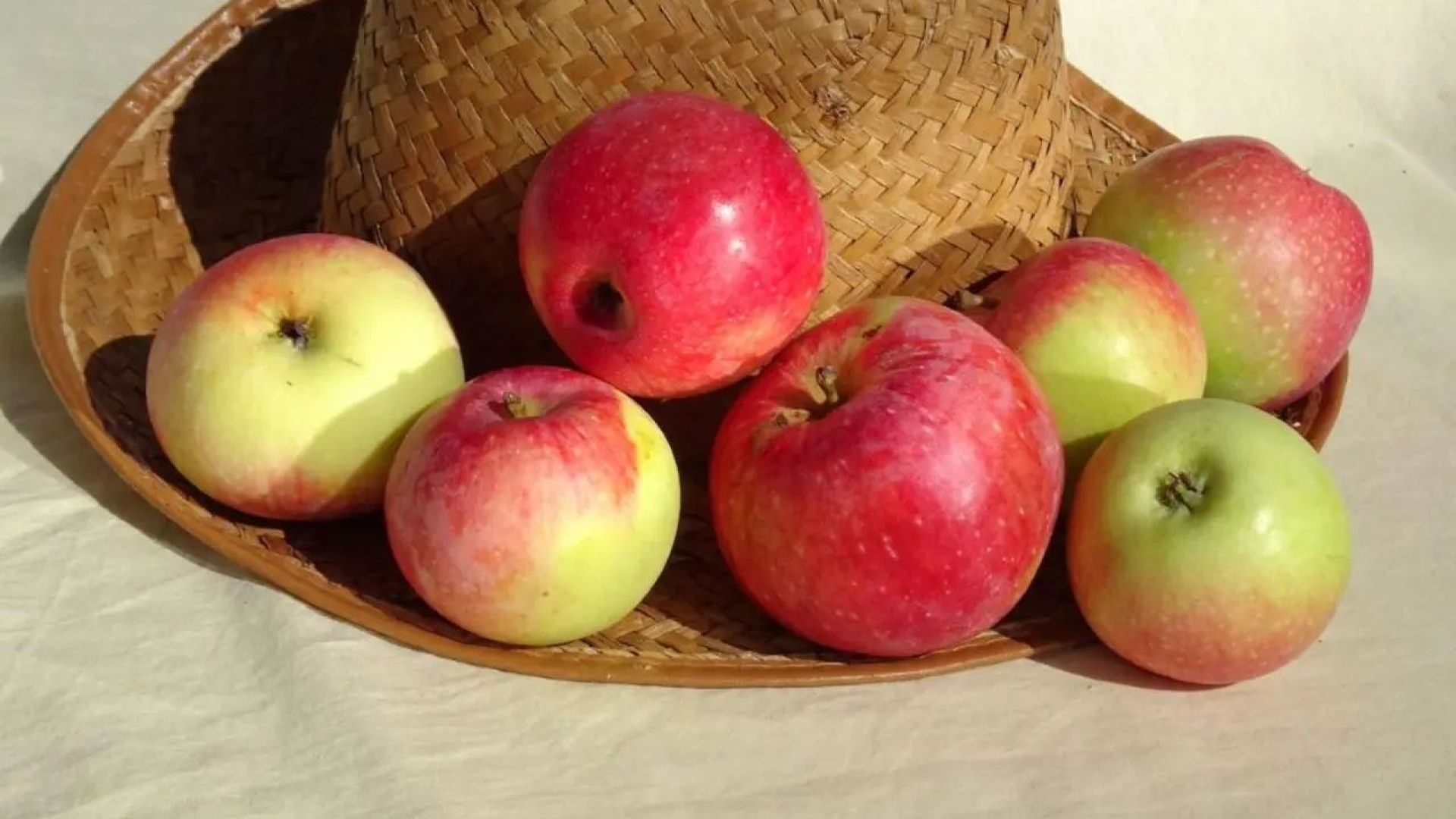Appelras Zieuwent