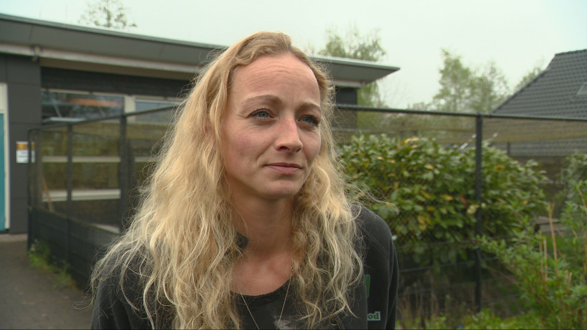 Jolanda Prins, Kat in Nood