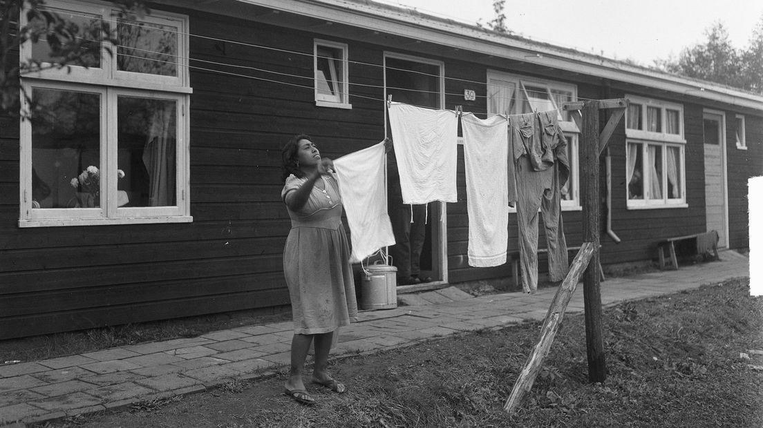 Een bewoner van De Schattenberg (niet de familie Bloemhard), oktober 1950 (Rechten: Nationaal Archief - Winterbergen / Anefo)