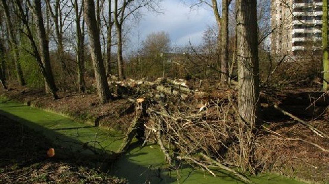 stormschade zoetermeer 1-0403