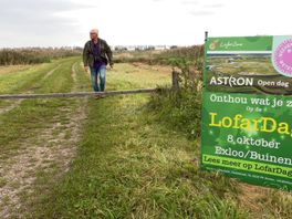 LofarZone: natuurontwikkeling tussen de antennes