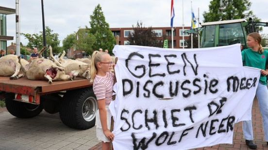 Demonstranten rijden kar met twintig dode schapen door dorp uit protest tegen de wolf
