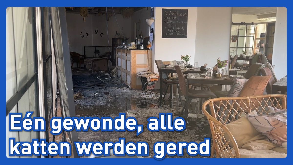 Kattenhotel in Scheemda na de brand
