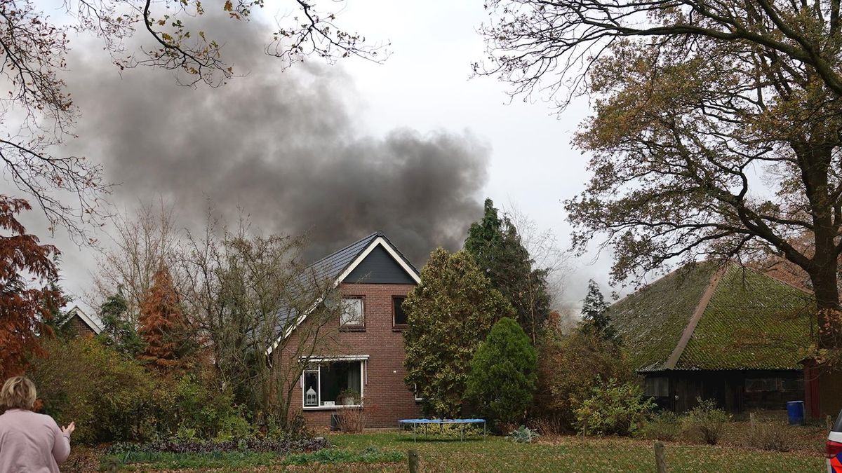 Stieren omgekomen bij stalbrand in Radewijk