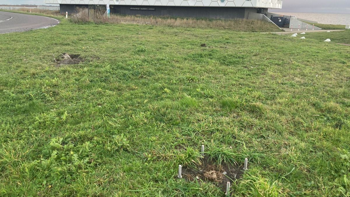 'Blije vissen' bij het Wadden Center op de Afsluitdijk zijn verdwenen