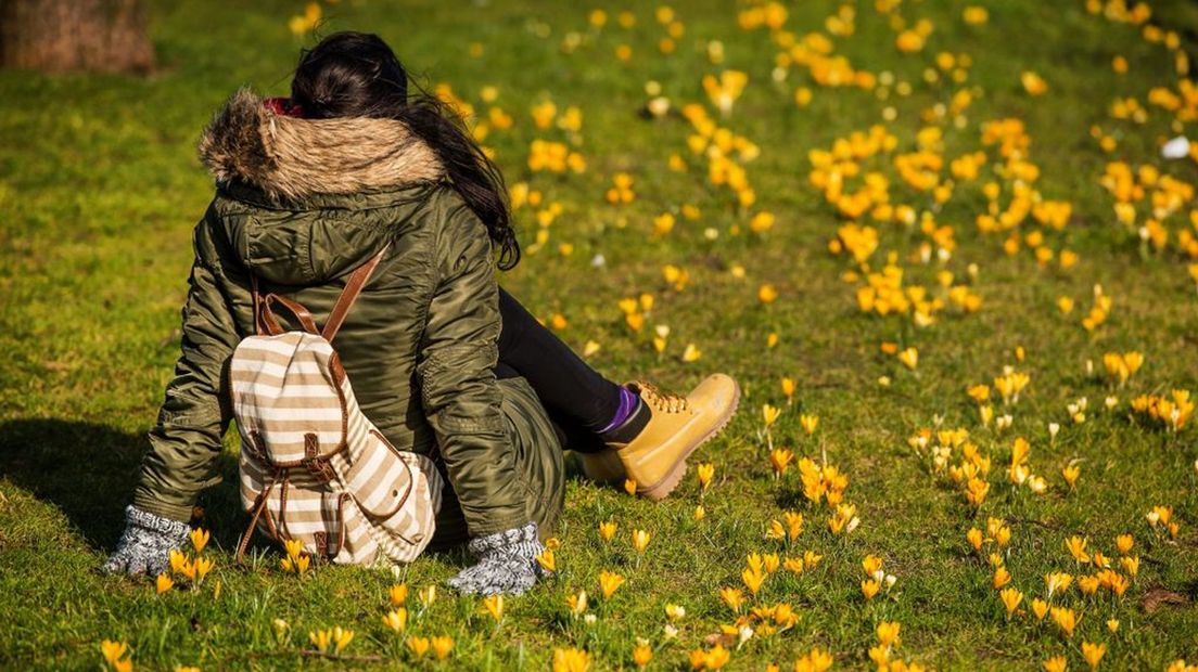 Een vrouw zit tussen de krokussen in het gras op een zonnige winterdag.