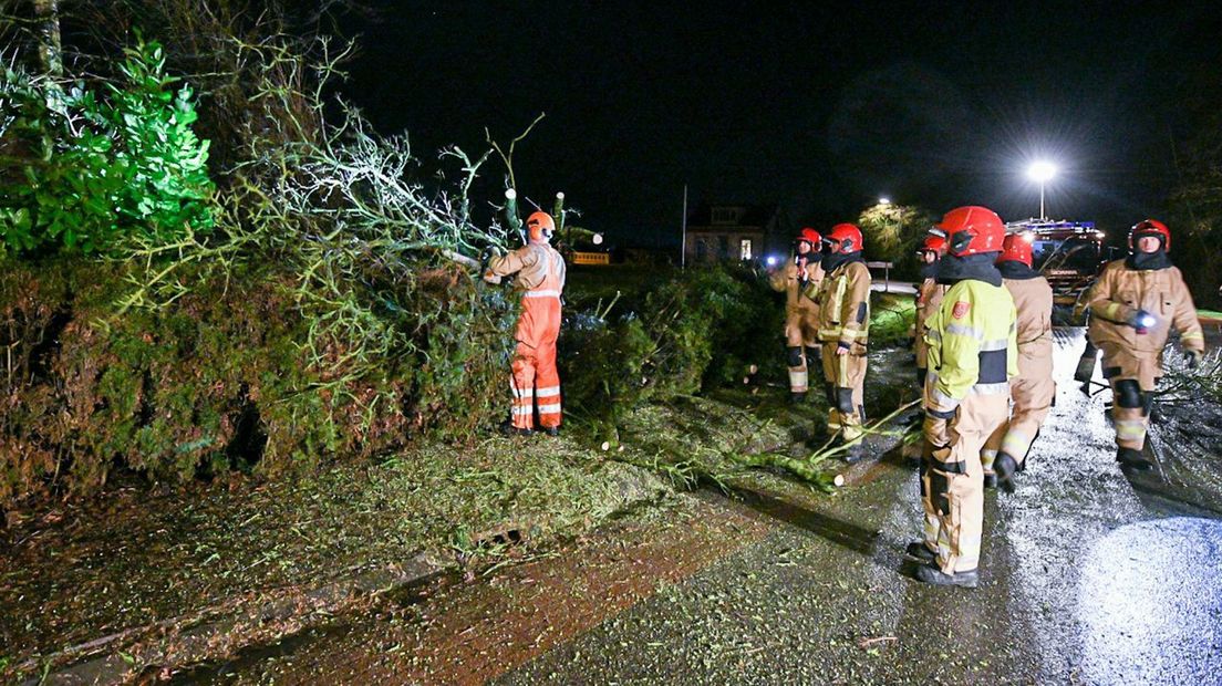 De storm blies een boom over de weg in Roodehaan