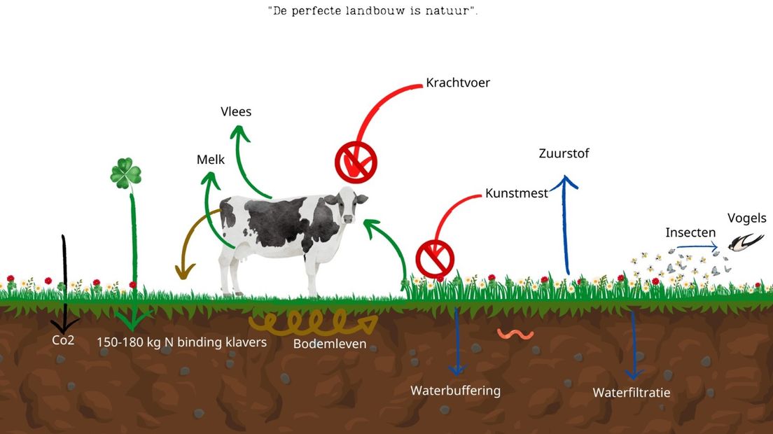 Natuurinclusieve boerderij in beeld