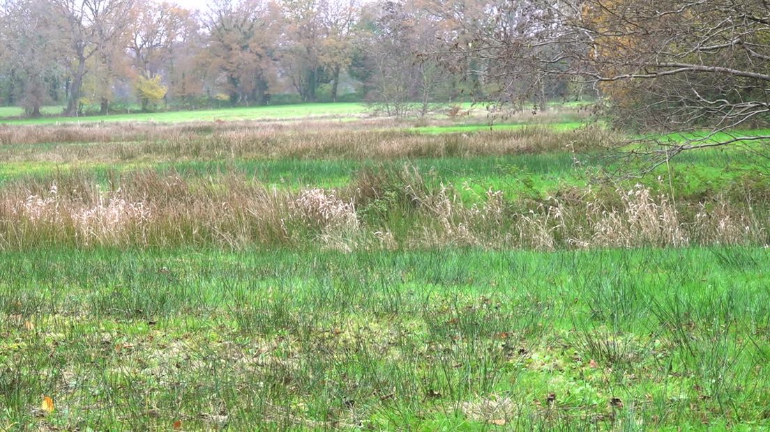 Anloo zoekt naar Middeleeuwse sporen in de bodem