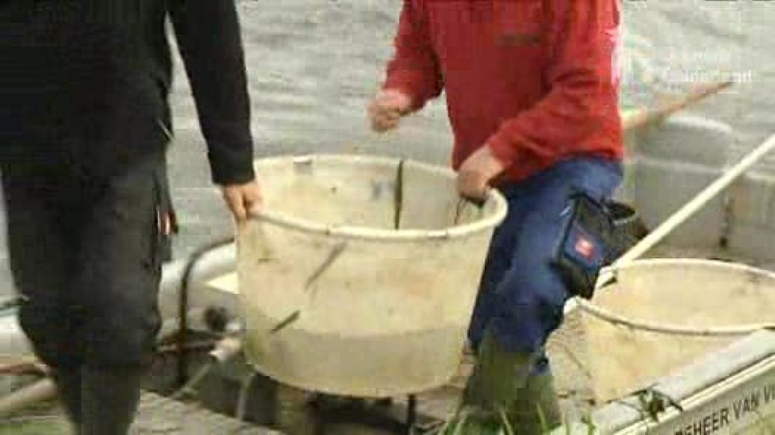 Onderzoek naar visstand Achterhoek