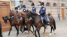 Groningse ruiter rijdt op Prinsjesdag in de ere-escorte: 'Het is heel bijzonder om dit met mijn paard te doen'