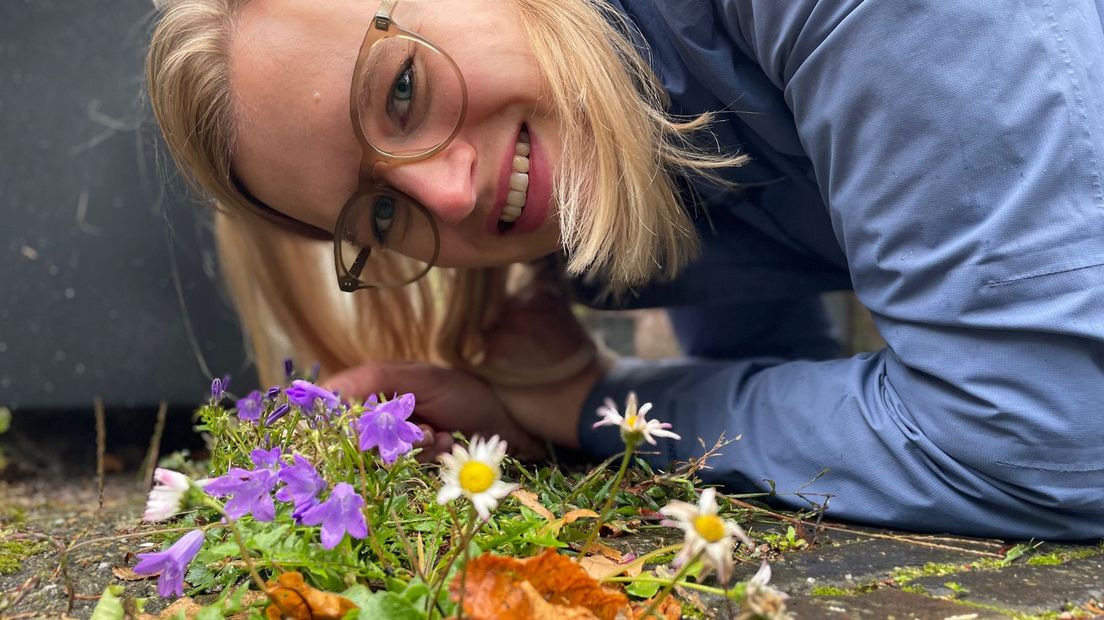 Nienke doet onderzoek naar stoepplantjes, die er niet allemaal uitzien als onkruid