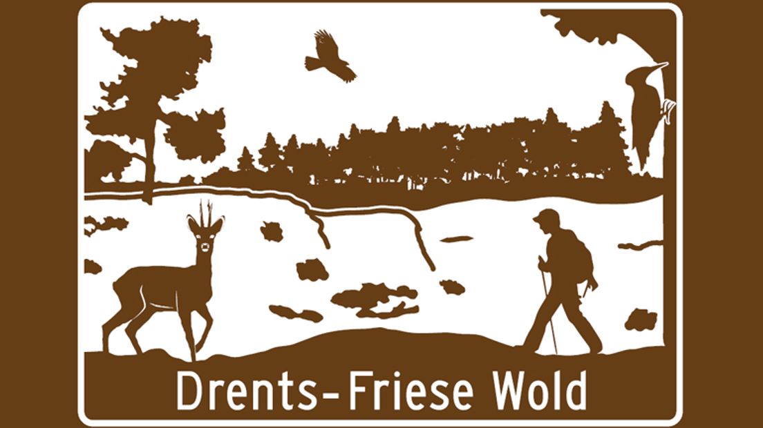 Met Pinksteren kun je mee met een wandeling in het Drents-Friese Wold (Rechten: Recreatieschap Drenthe)