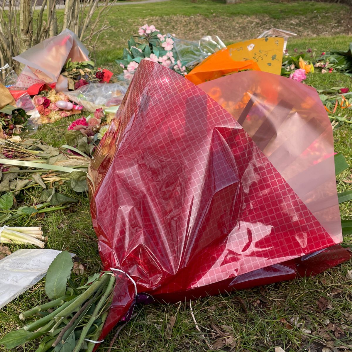 Complotdenkster Bodegraven Aangehouden Voor Bedreiging En Opruiing complotdenkster-bodegraven-aangehouden-voor-bedreiging-en-opruiing