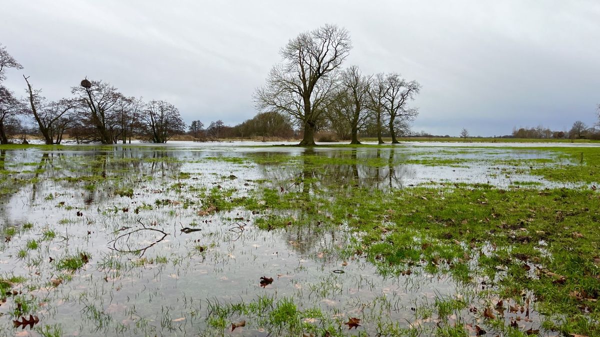 Hazardous Weather Conditions and Flooding Threaten Drenthe: Water Board on High Alert