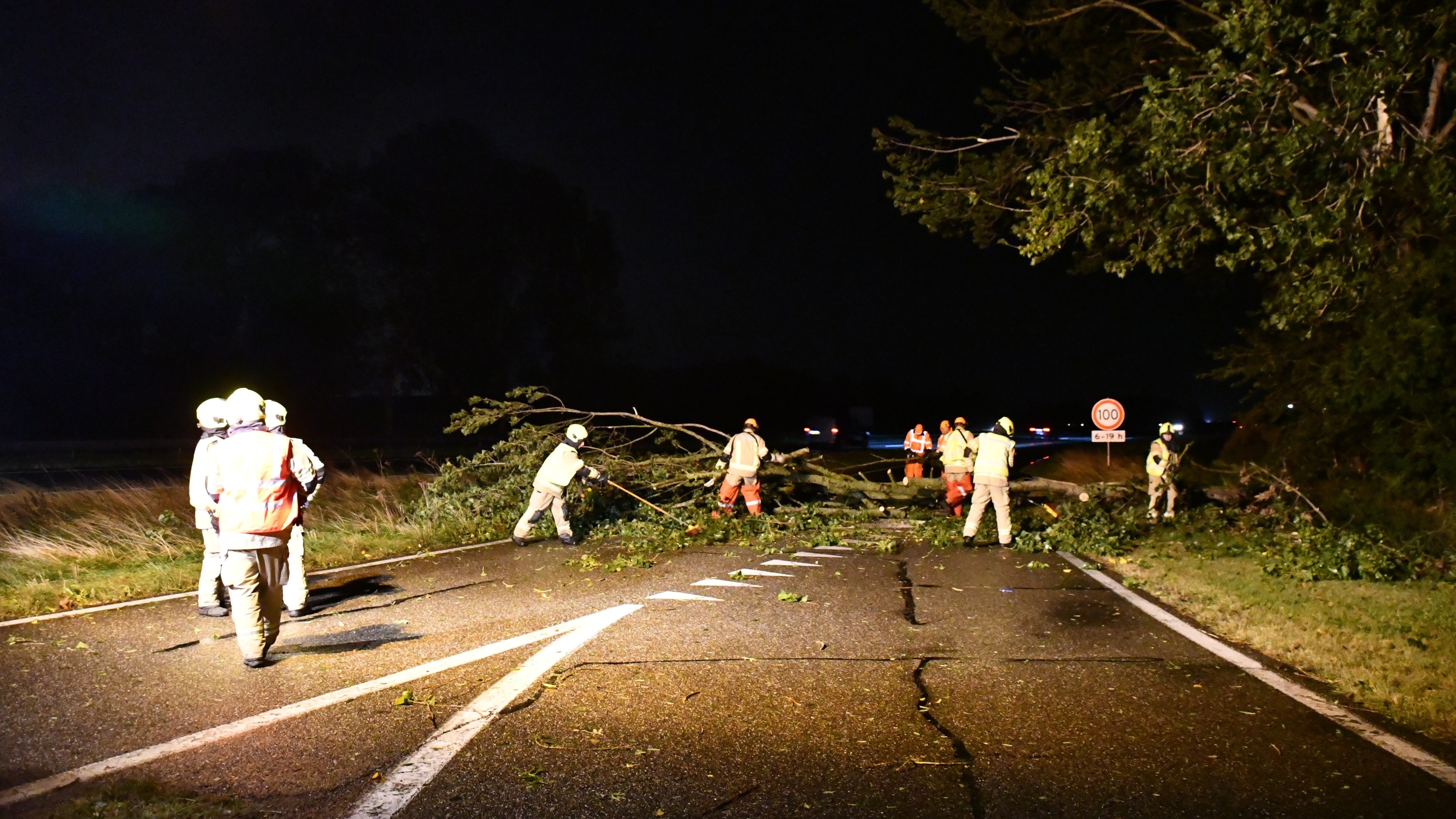 Storm Odette omgewaaide bomen, bouwzeil van vuurtoren, schip in