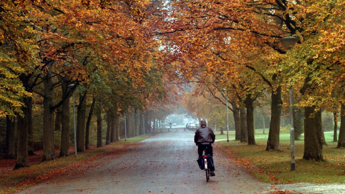 Een man fietst in de herfst