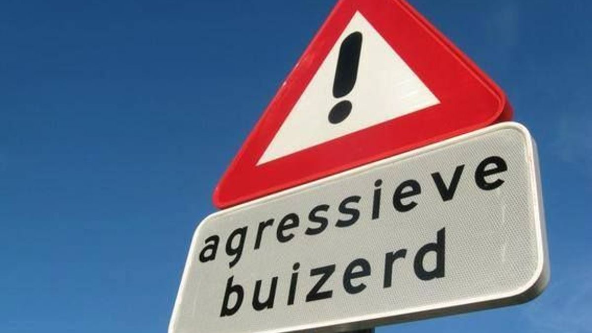 Luchtalarm voor agressieve buizerd in Velden