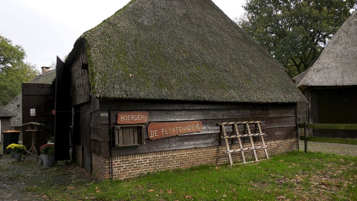 Leven met de seizoenen op een Drentse boerderij