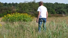 Variatie aan planten op de Havelterberg