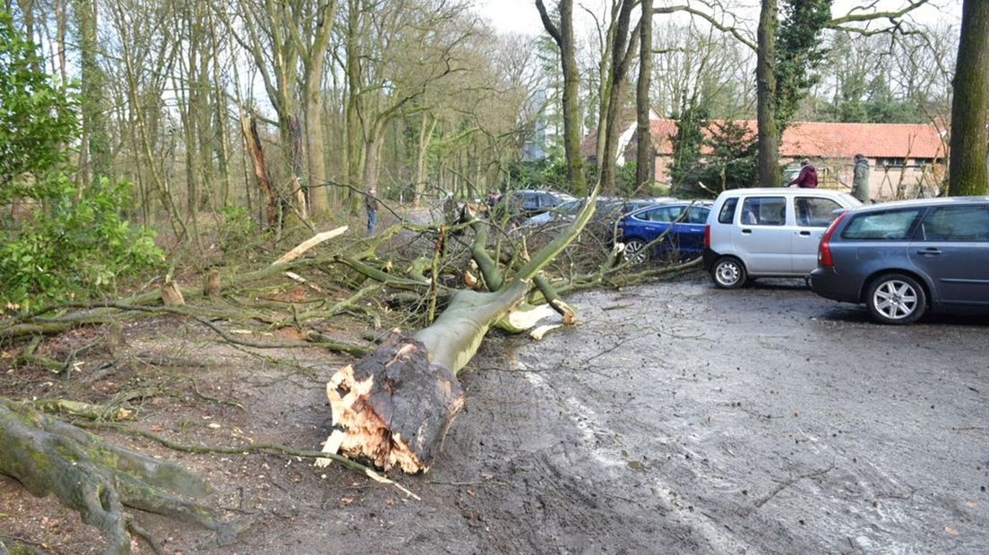 Stormschade in Berg en Dal