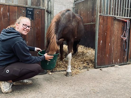 Paardenmeisje Annika zwaait laatste paarden uit: enige manege in Nieuwegein sluit de deuren