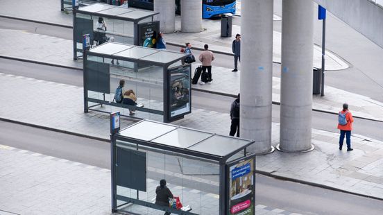 Arnhem gaat richting reclameverbod op vlees, vis en vliegen in bushokjes