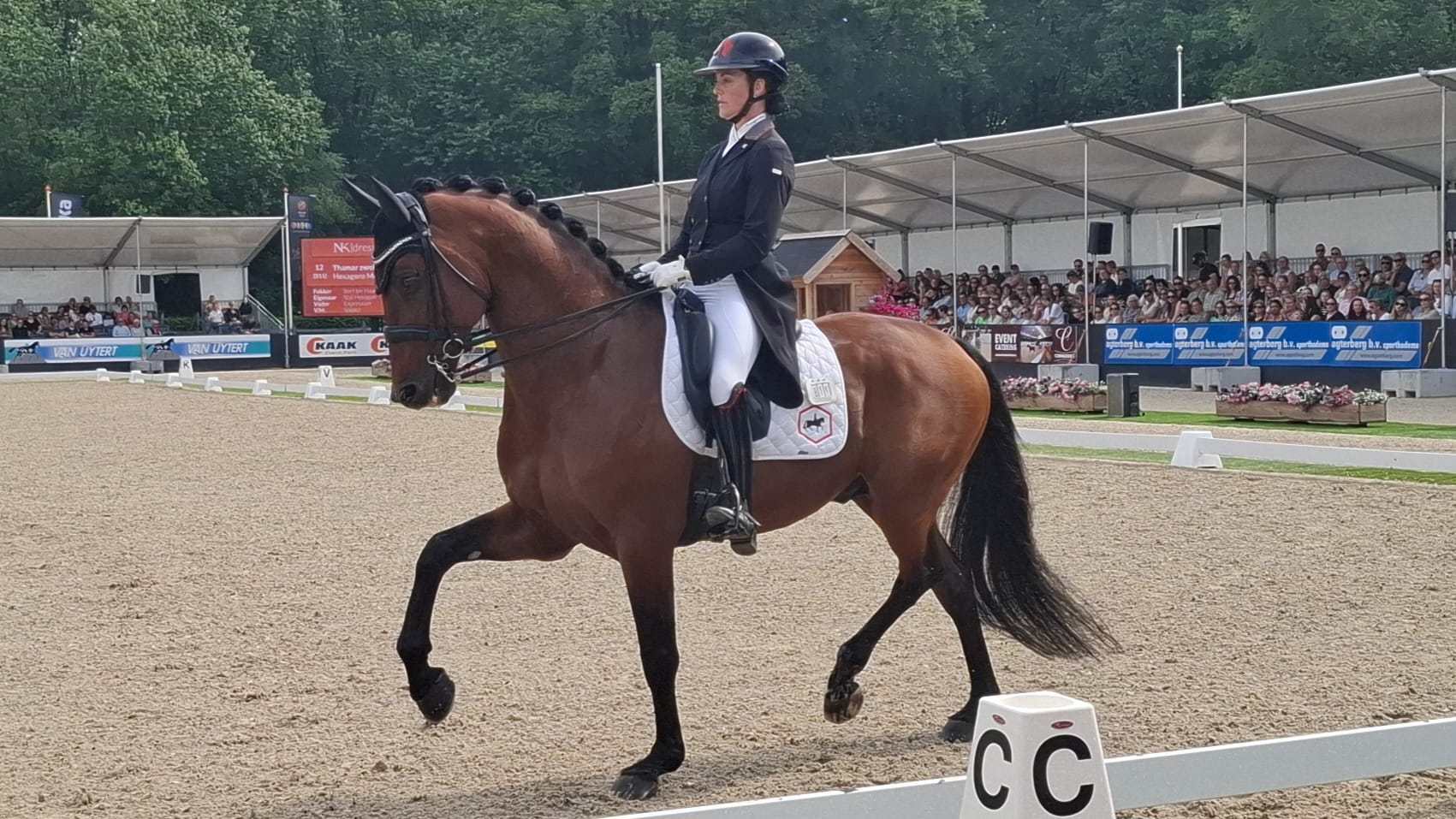 Magere score Zweistra op WK door schrikkerig paard; Nederland op achterstand