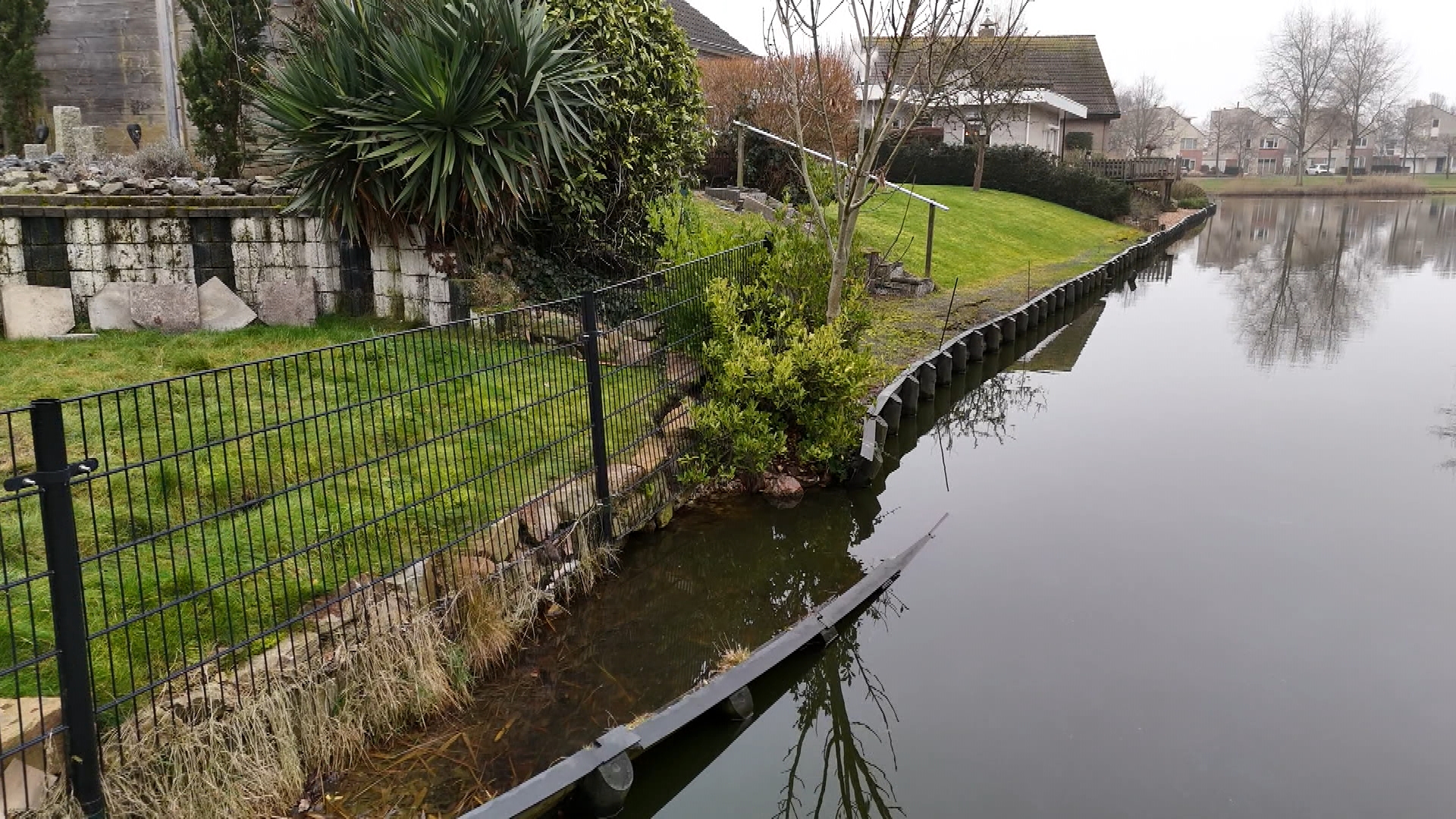 Terwijl de gemeente Vlissingen en het waterschap ruzie maken, zinkt de tuin van Inge de watergang in
