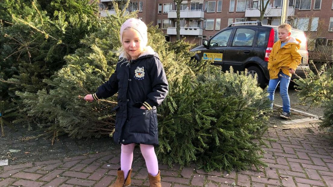 Zutphense kinderen krijgen geld voor het inleveren van kerstbomen.