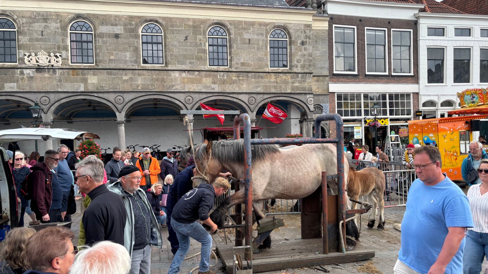 Zeshonderd jaar oude paardenmarkt na twee jaar weer terug in Zierikzee: 'Dit moet blijven bestaan'