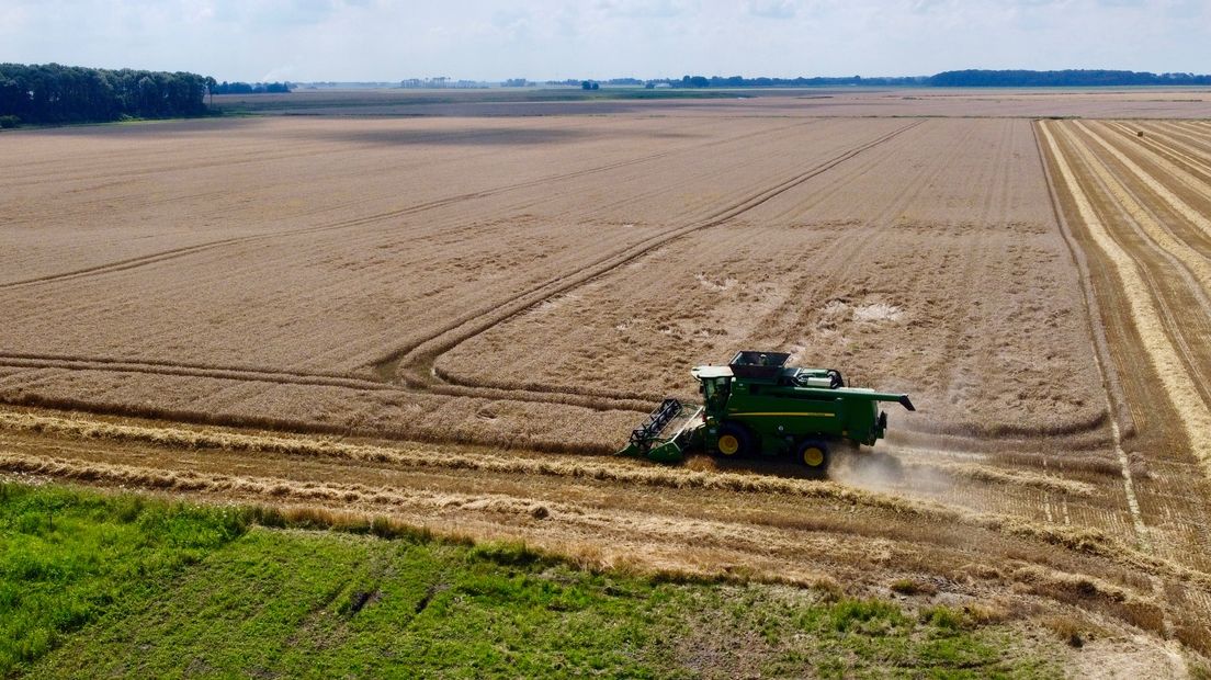 Graan dat wordt geoogst (foto ter illustratie)