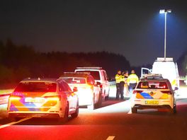 Motorrijder komt om het leven bij aanrijding met ree op N33