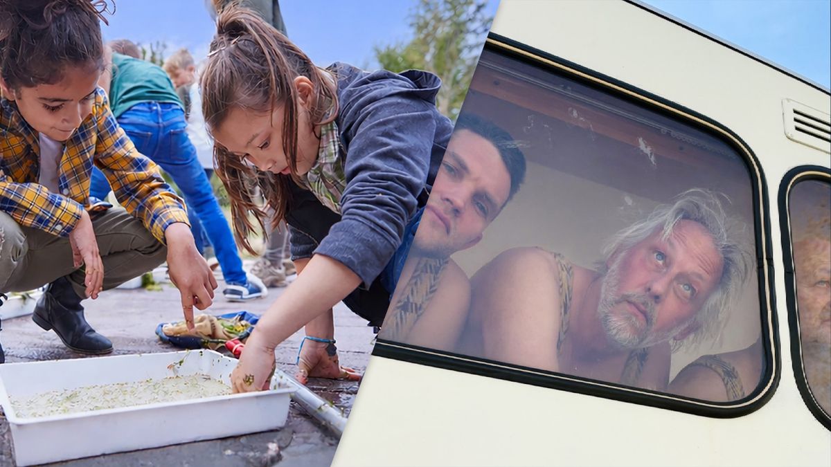Eropuit dit weekend? Dit is er te doen in Fryslân