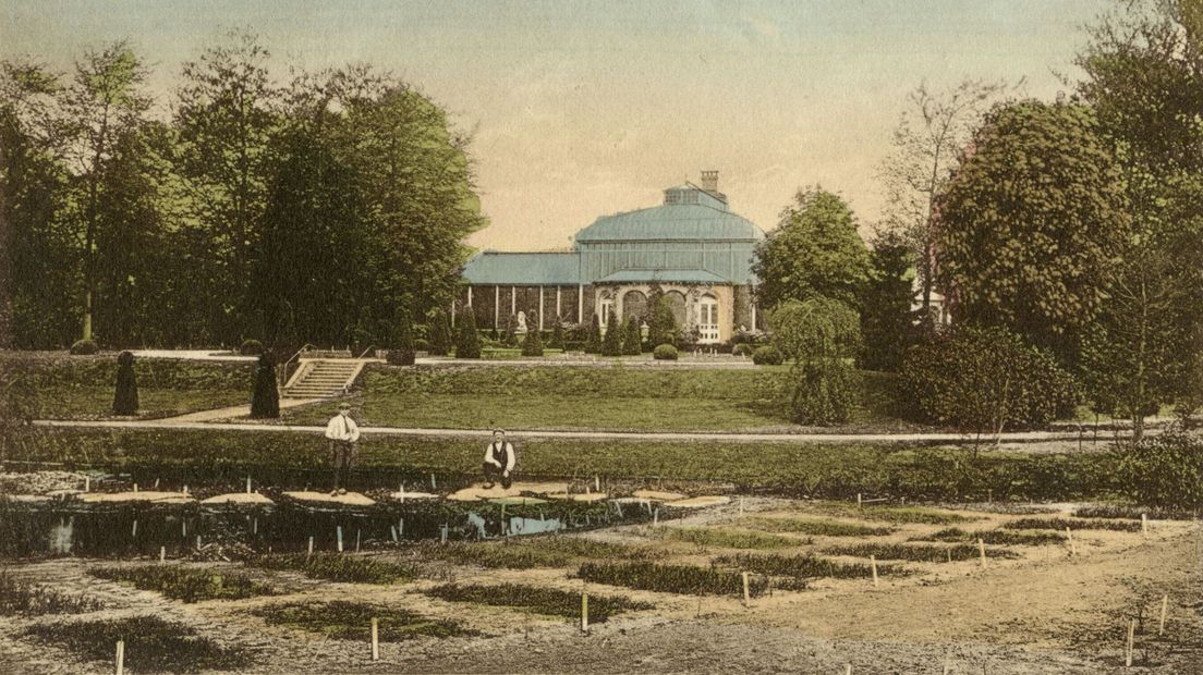 De Baarnse Wintertuin honderd jaar geleden. Ingekleurde ansichtkaart van 1920-1925.