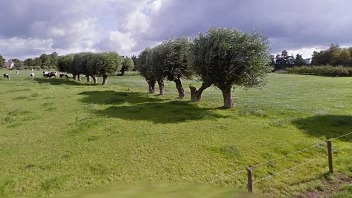 Wandelgebied in wijk Westenholte Zwolle van de baan