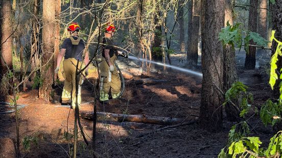 Grote natuurbrand in de bossen bij Helden Home