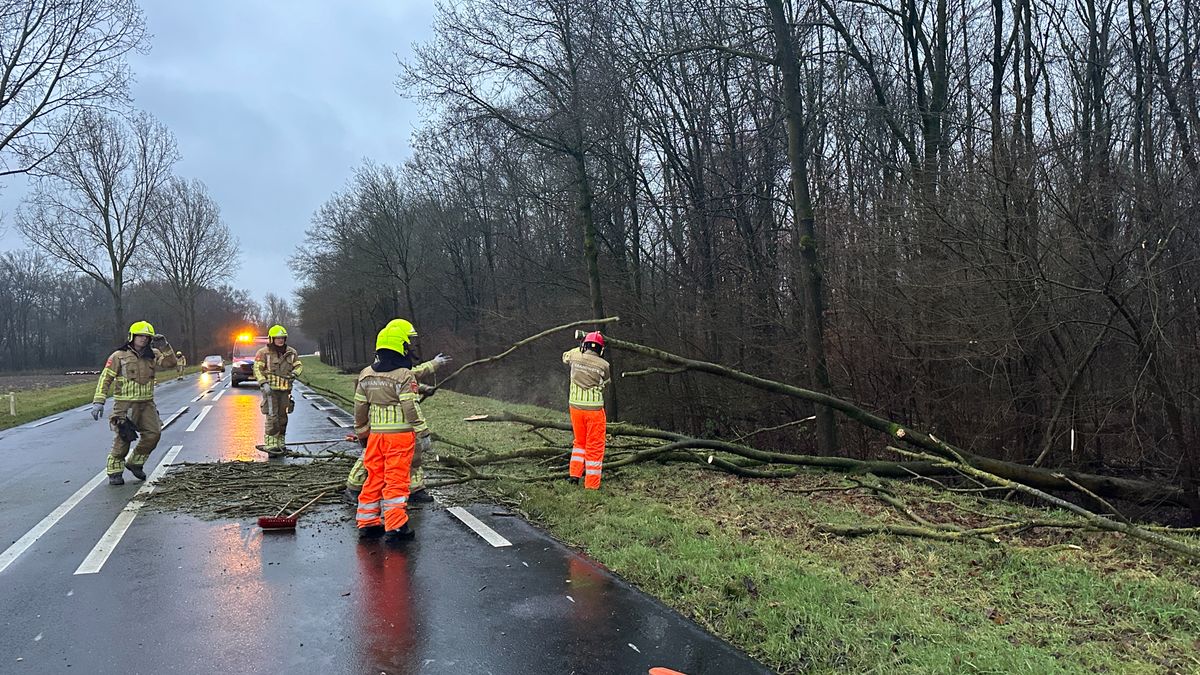 Bomen belandden op de weg door harde wind