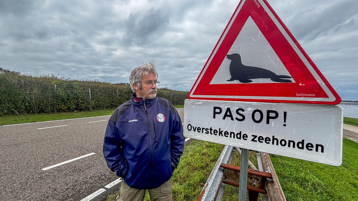 Mysterie rond eerste zeehondenborden van Nederland opgelost