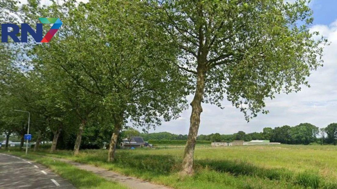 De locatie