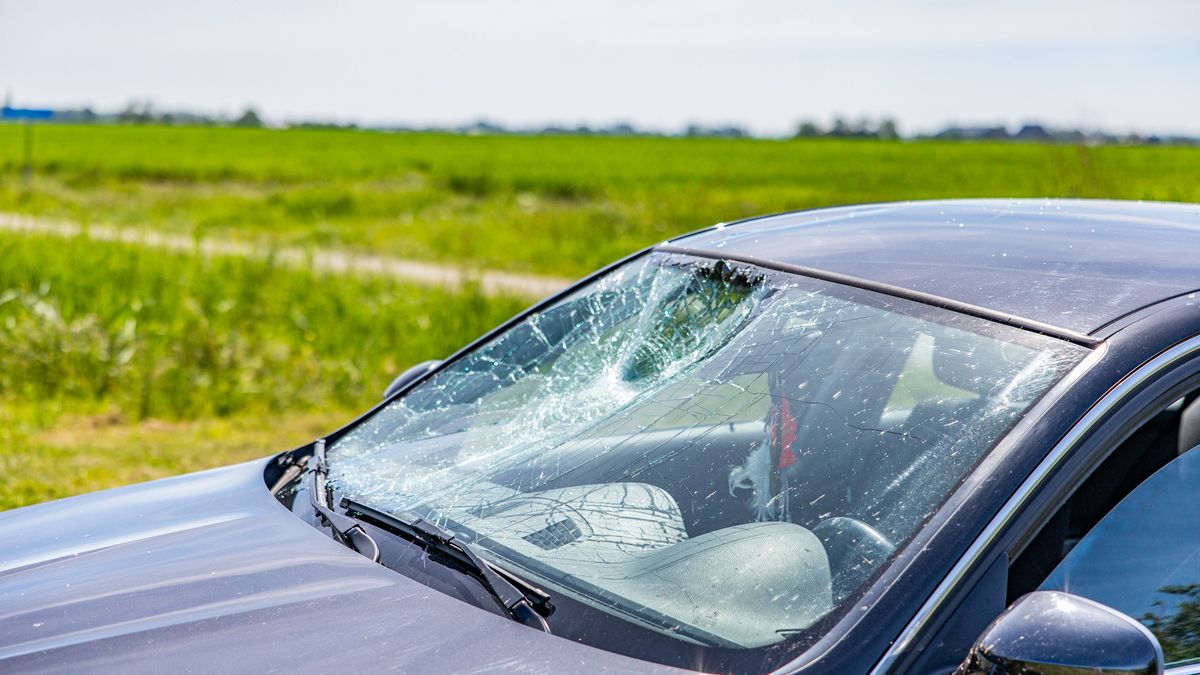 Brommerrijder gewond bij botsing in Nes (Noardeast-Fryslân) - Omrop Fryslân